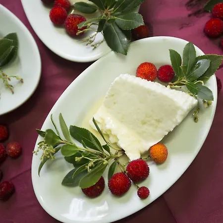 Barbagia Gospodarstwo agroturystyczne