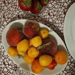 팜스테이 Barbagia 알게로