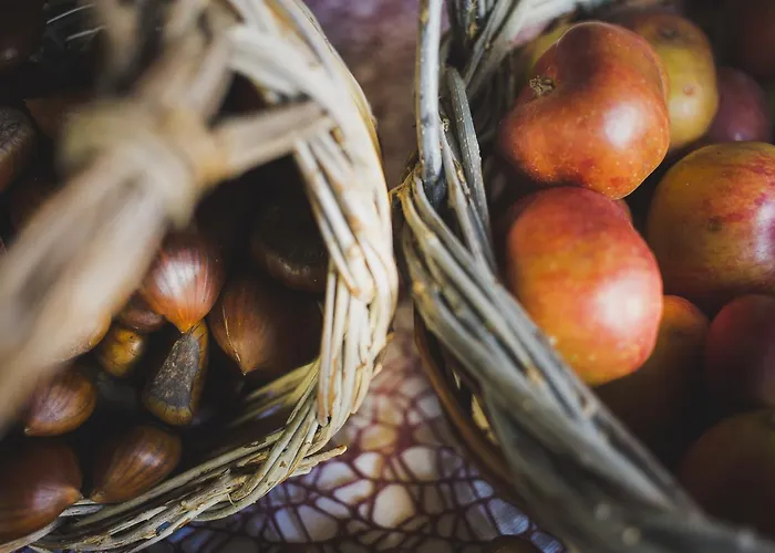 Barbagia ファームステイ アルゲーロ