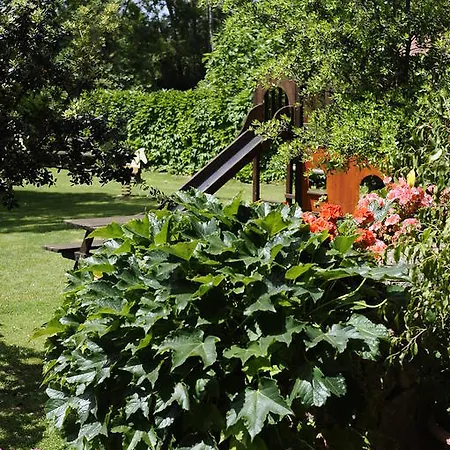 בית חווה Barbagia אלגהרו