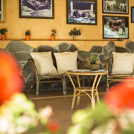 Barbagia בית חווה אלגהרו