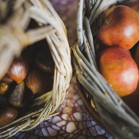Barbagia בית חווה אלגהרו